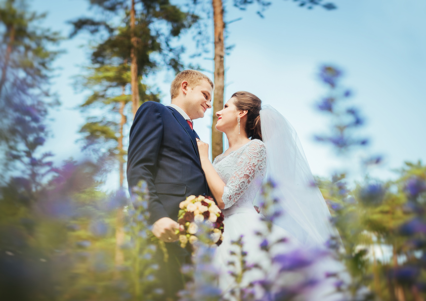 elopement wedding pacotes